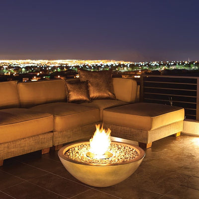 EcoSmart Fire