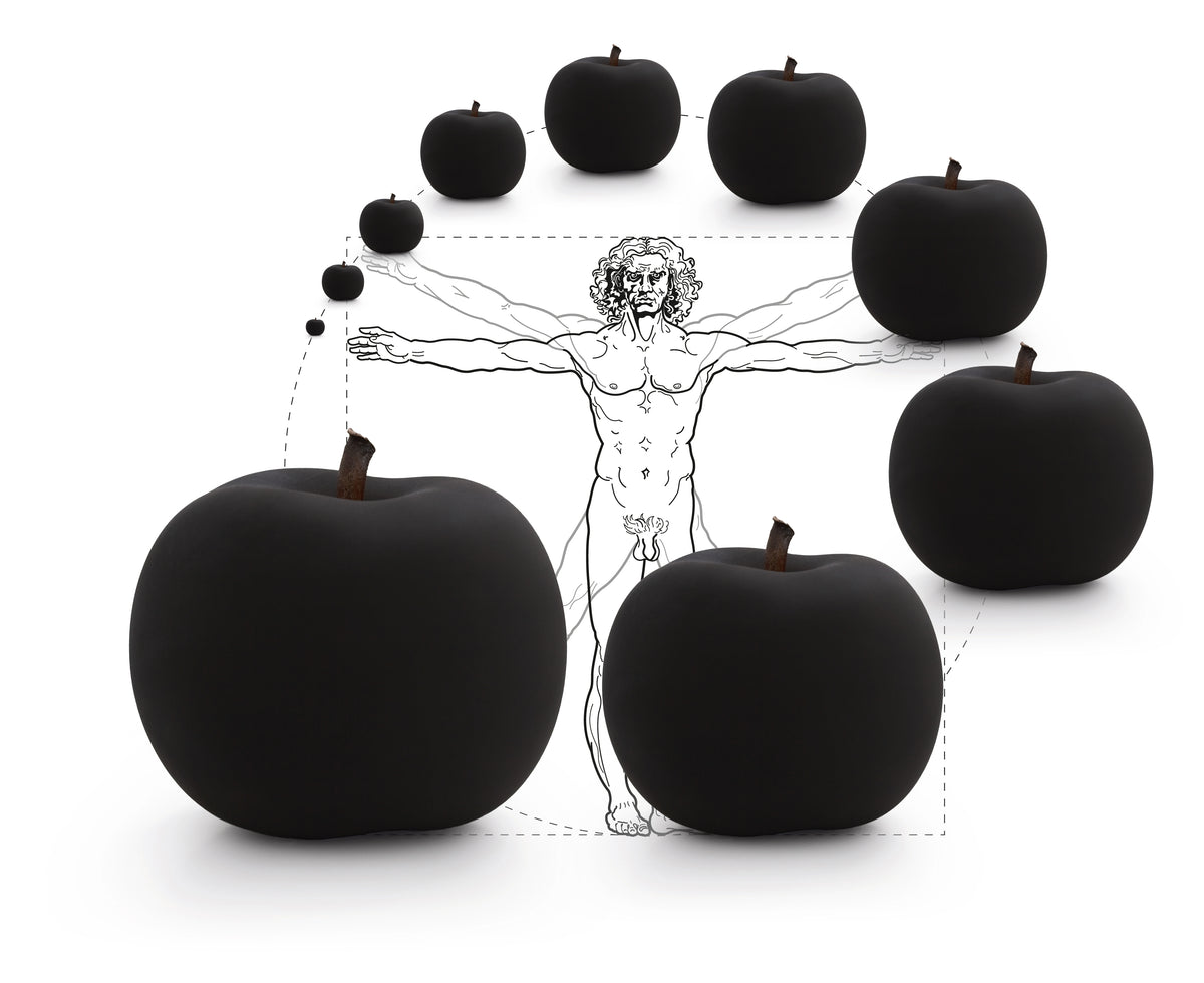 Fruit Dimensions Bull & Stein Lisa Pappon