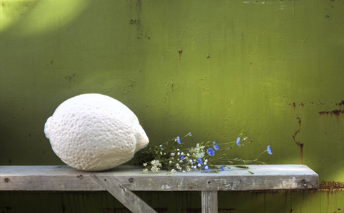 LEMON Brilliant Varnish – Giant Fruit Sculpture Indoor Outdoor