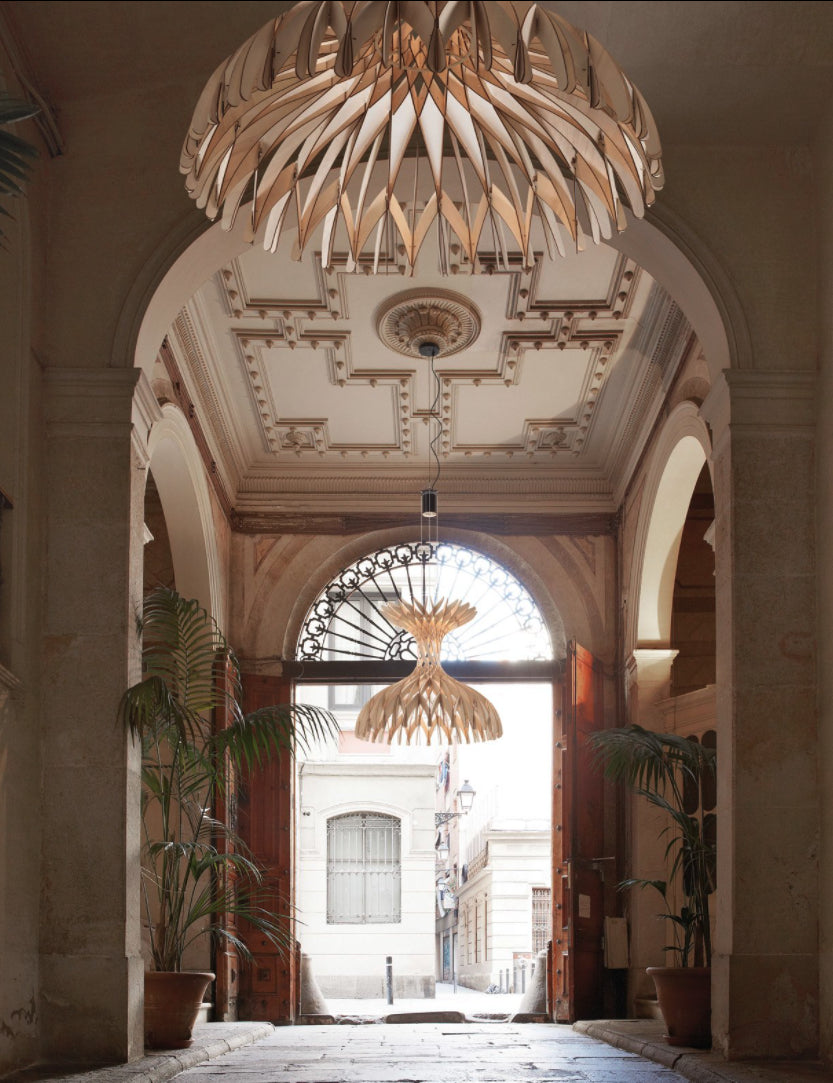 Dome 60/02 - LED Pendant Lamp In Beech Veneer