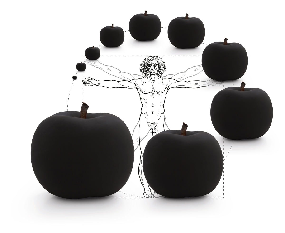 Fruit Dimensions Bull & Stein - Lisa Pappon