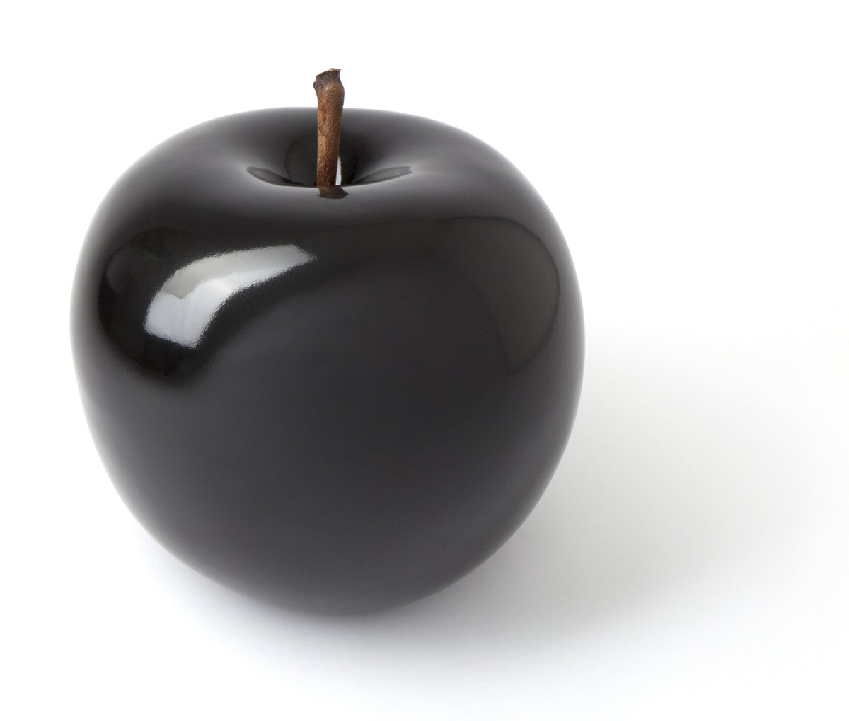Color Black Lisa Pappon Bull and Stein
