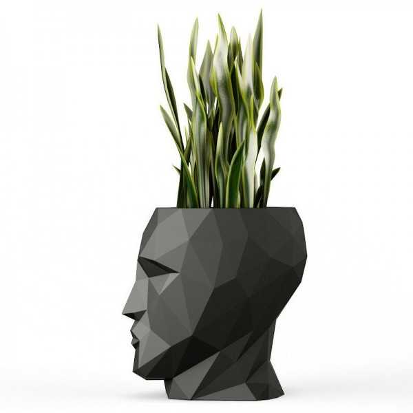 Small Flowerpot in of a head NANO