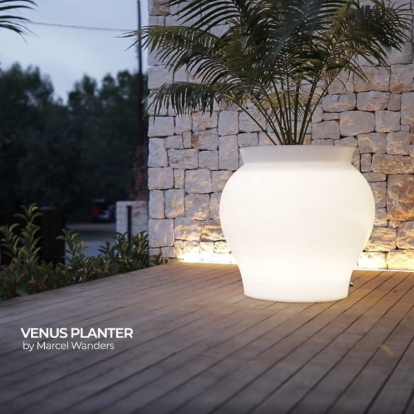 Lighted Curved Shape Pot