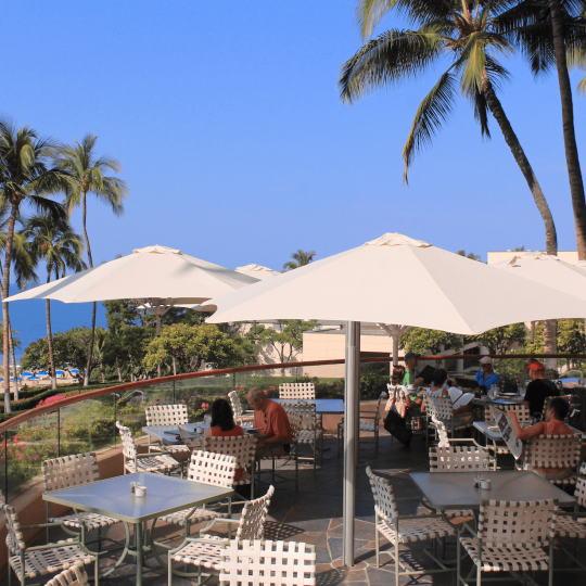 PARAFLEX DUO 540 - Hexagonal Double Canopy Parasol Umbrosa