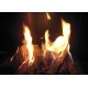 Focus 180 Gas Fireplace Detail Flames and Log set (optional)