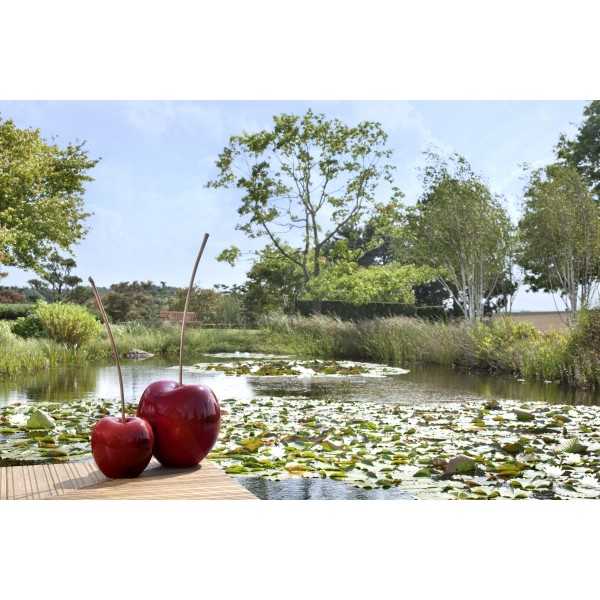 Cherry Bordeaux Varnish Brilliant Outdoor by Bull & Stein and Lisa Pappon