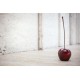 Cherry Bordeaux Varnish Brilliant Indoor Outdoor by Bull & Stein and Lisa Pappon