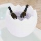 Kalimera Champagne Bucket (light version) - Slide Design