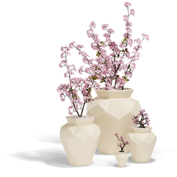 Pots de fleurs