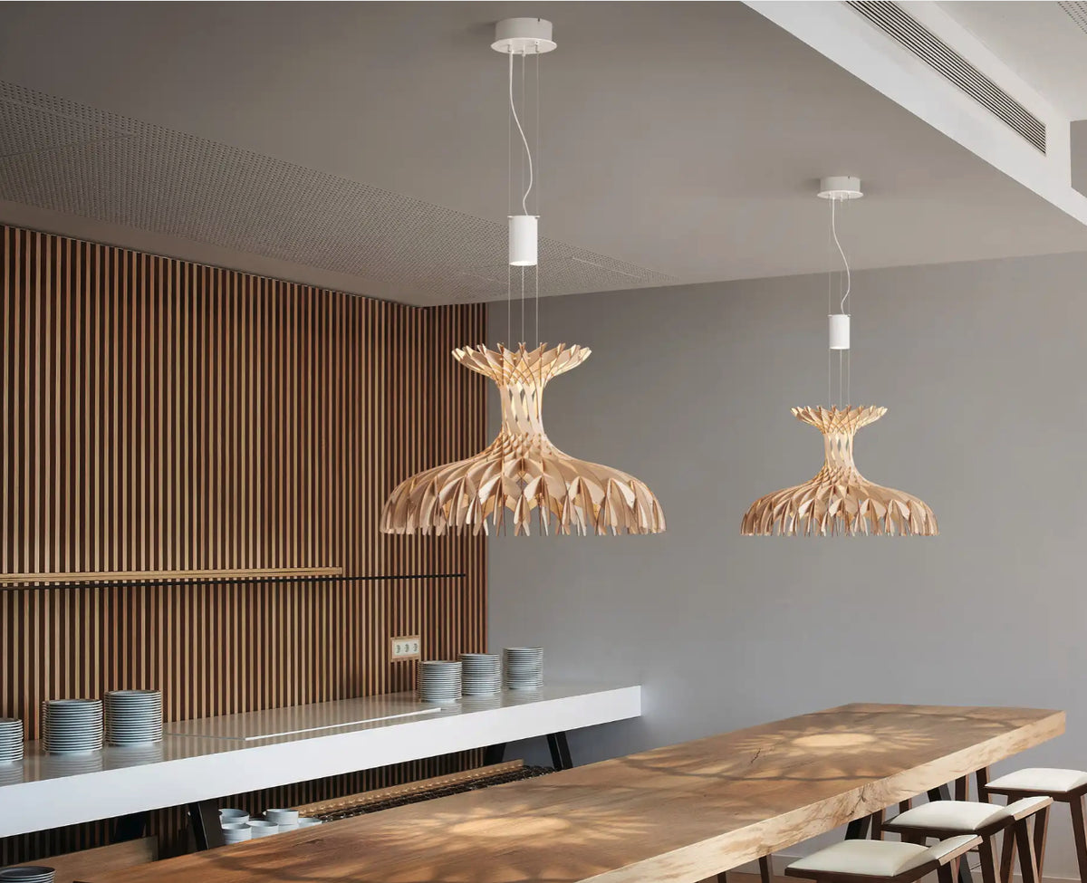 Dome 60/02 - LED Pendant Lamp In Beech Veneer