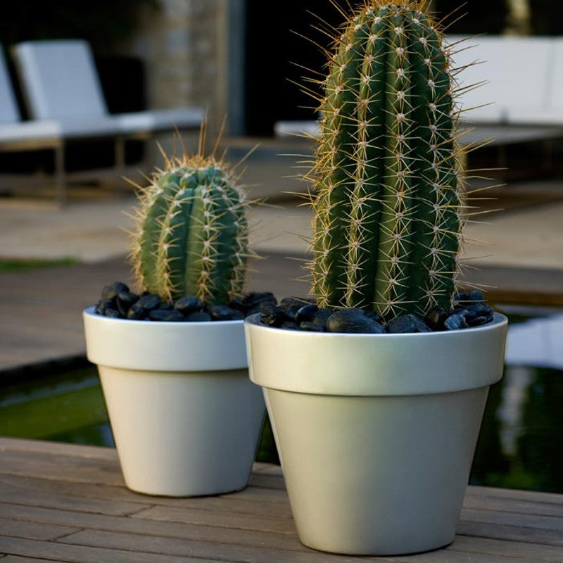 PLANTER Pot Design with Matt Finish by Vondom. Perfect Bar Deco