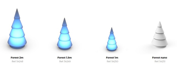 forest-different-dimensions